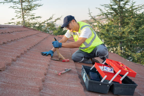 Best Roof Leak Repair  in Minooka, IL